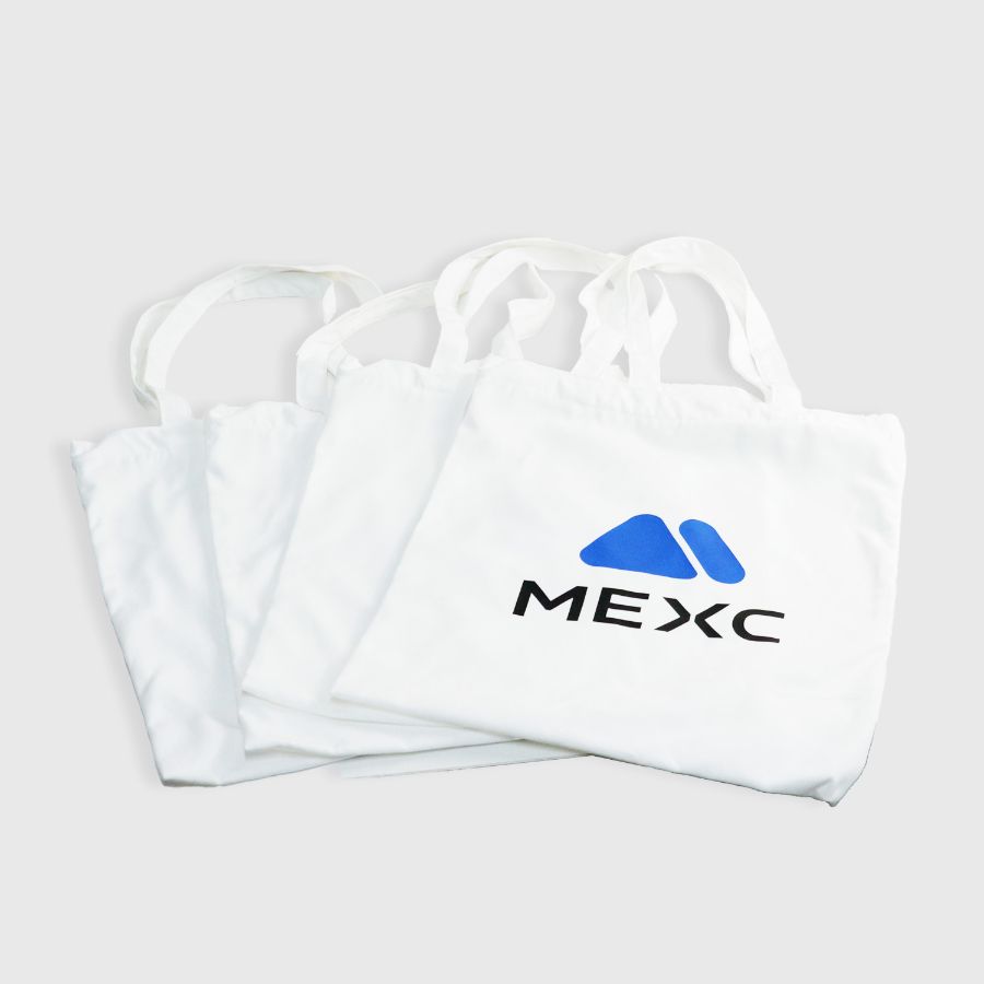 Túi canvas in logo VivaGift — mẫu 29