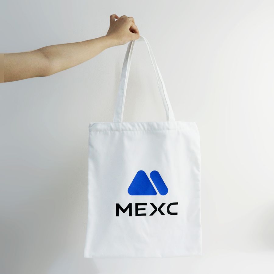 Túi canvas in logo VivaGift — mẫu 31