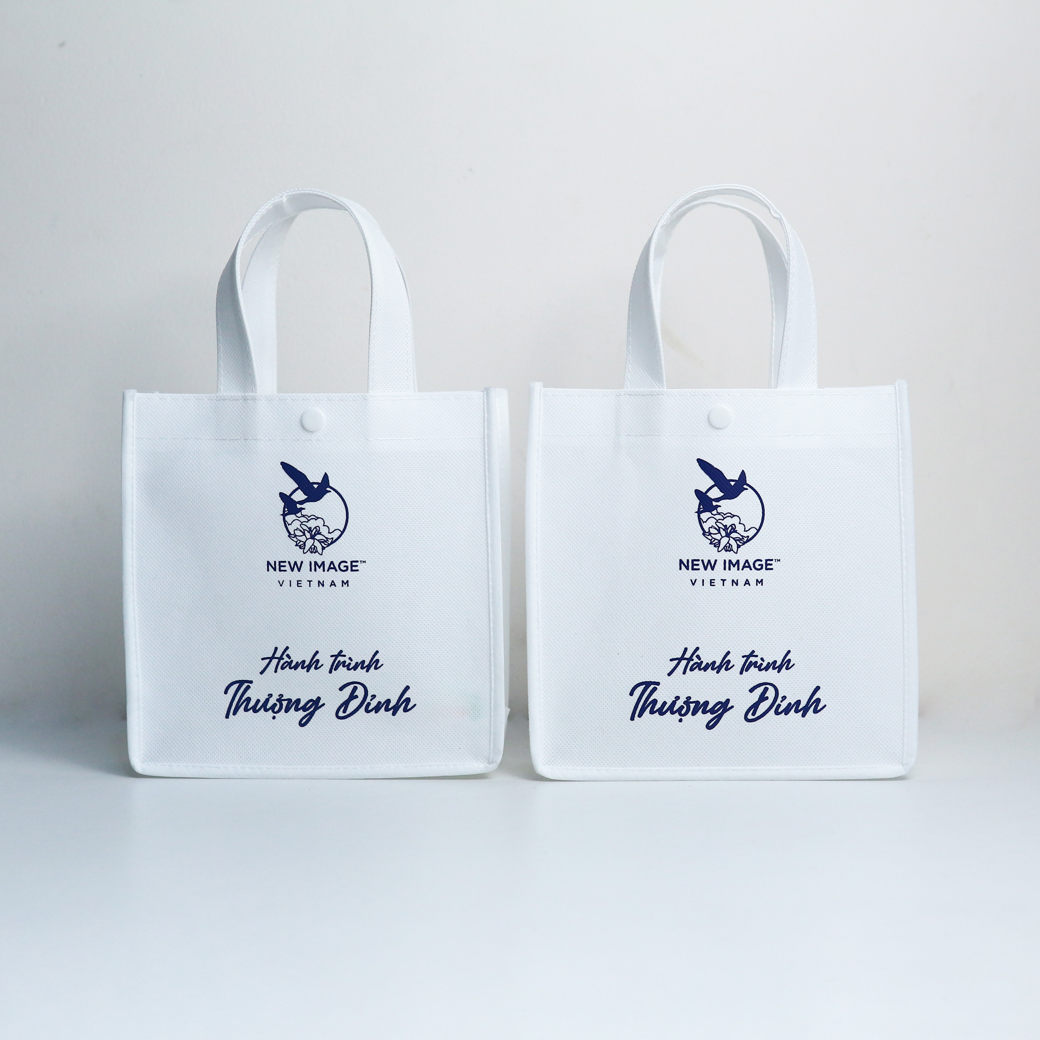 Túi vải không dệt in logo VivaGift — mẫu 05